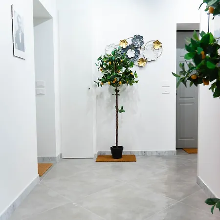 Notes In Corvetto By Wonderful Italy